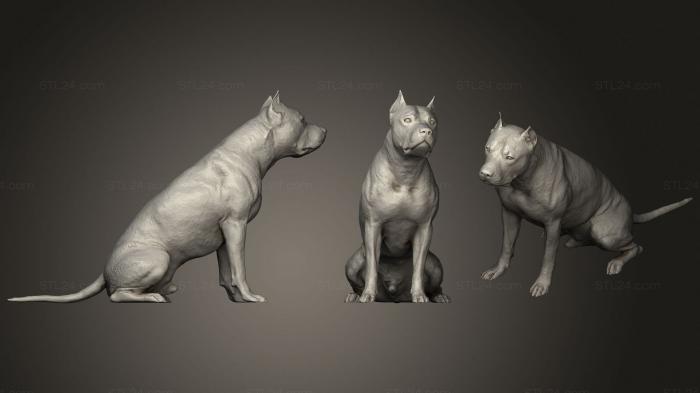 Статуэтки животных (ТЕРЬЕР, STKJ_2525) 3D модель для ЧПУ станка